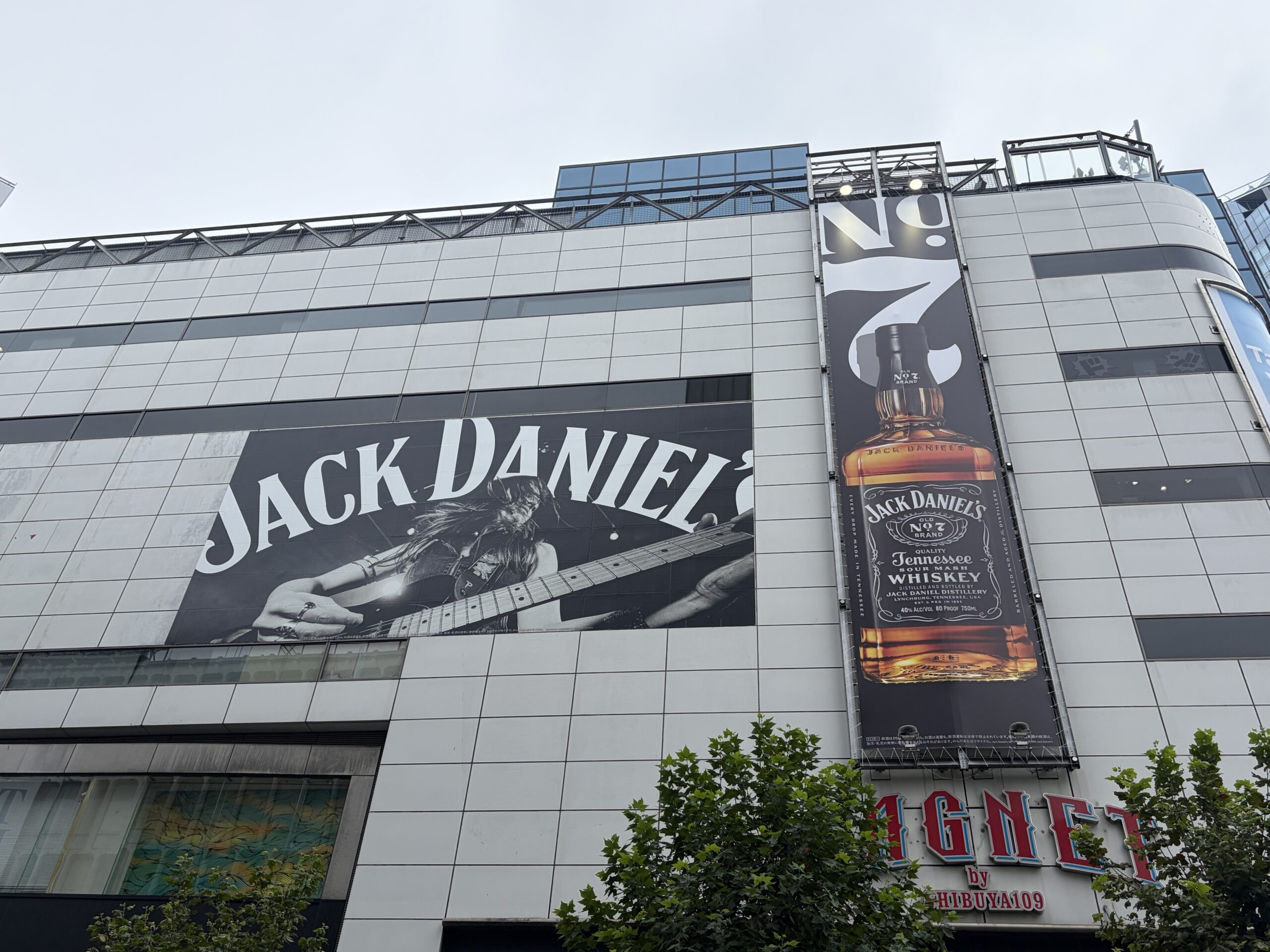 2026年9月飲料広告＜Bプラン利用＞
